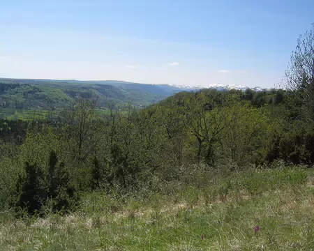 2008-05 GTMC 0031 Reliefs