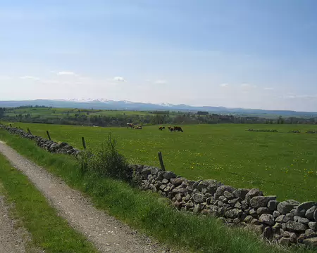 2008-05 GTMC 0033 Paysage du Cézalier