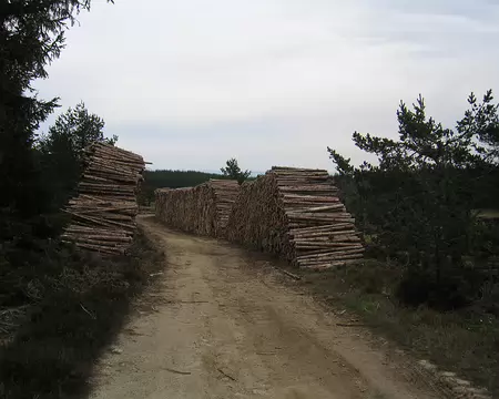 2008-05 GTMC 0045 Pour le barbecue