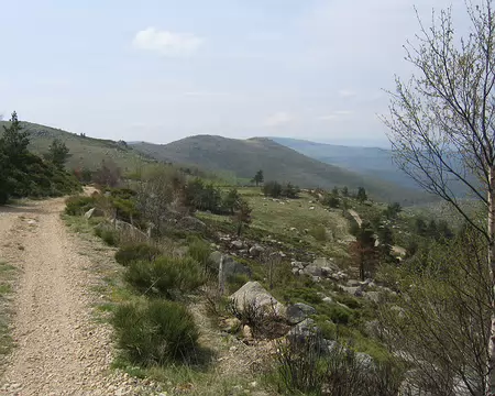 2008-05 GTMC 0060 Vers le Cros et l'Hopital dans les Cévennes