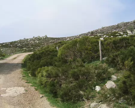 2008-05 GTMC 0063 Vers le Cros et l'Hopital dans les Cévennes