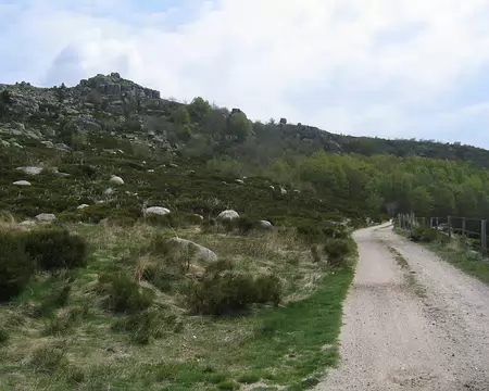 2008-05 GTMC 0066 Vers le Cros et l'Hopital dans les Cévennes
