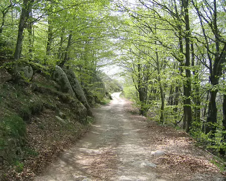 2008-05 GTMC 0067 Beau chemin roulant