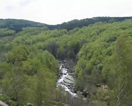 2008-05 GTMC 0068 En descendant vers le Pont-de-Montvert