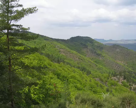 2008-05 GTMC 0072 En descendant vers le Pont-de-Montvert