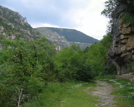 2008-05 GTMC 0078 Chemin en balcon