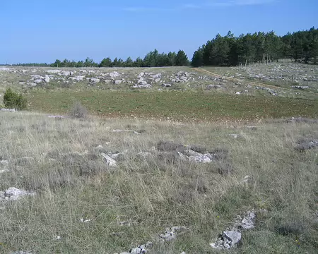 2008-05 GTMC 0079 Une doline cultivée