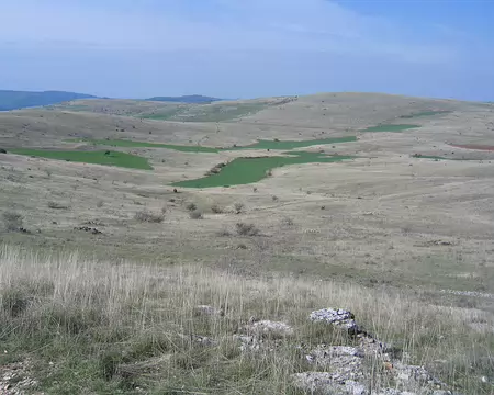 2008-05 GTMC 0080 Cultures parcellaires