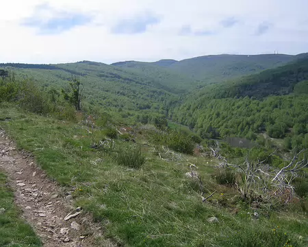 2008-05 GTMC 0085 La ligne de crêtes qui mène au Mont Aigoual
