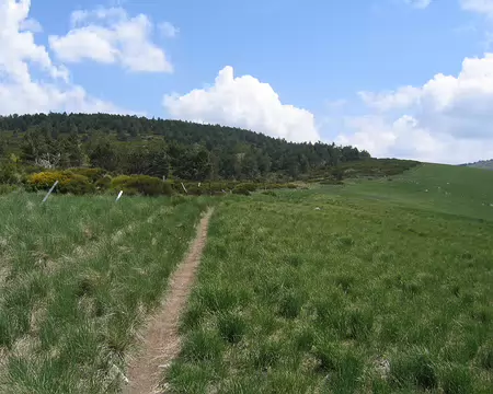 2008-05 GTMC 0089 Depuis le Prat-Peyrot à Camprieu