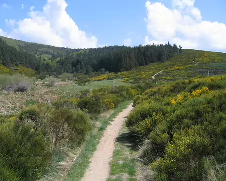 2008-05 GTMC 0090 Depuis le Prat-Peyrot à Camprieu