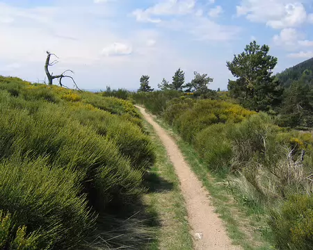 2008-05 GTMC 0091 Depuis le Prat-Peyrot à Camprieu