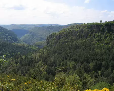 2008-05 GTMC 0095 Gorges de la Dourbie