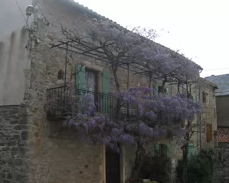 2008-05 GTMC 0103 Sauclières