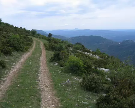 2008-05 GTMC 0109 Depuis les Causses du Larzac
