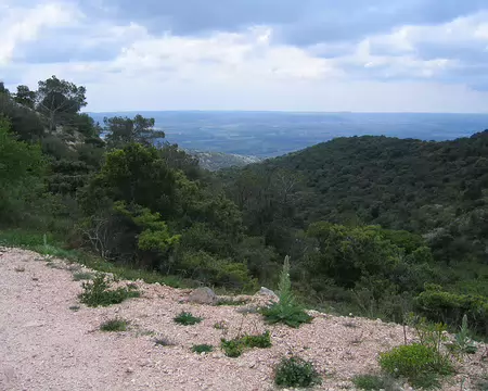 2008-05 GTMC 0112 Vers Saint-Guilhem-le-Désert