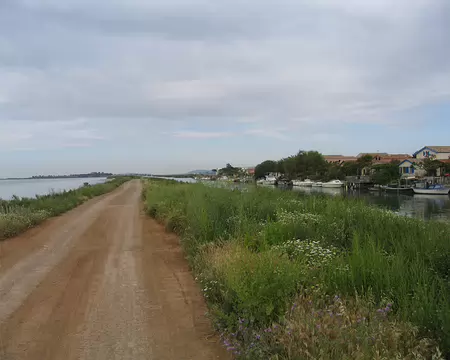 2008-05 GTMC 0137 Le long du canal du Rhône à Sète