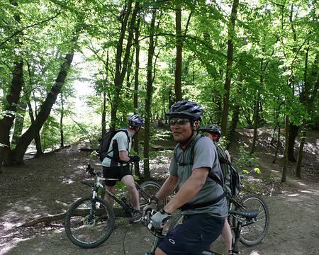 vtt_saint_germain_05