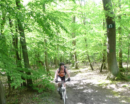 vtt_saint_germain_06