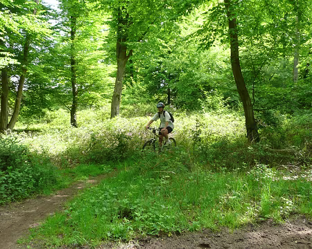 vtt_saint_germain_12