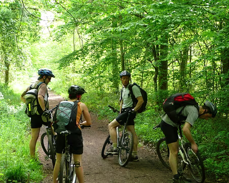 vtt_saint_germain_18