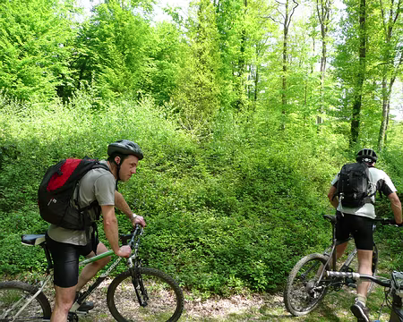 vtt_saint_germain_31