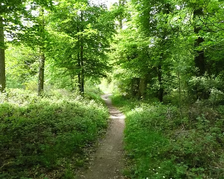 vtt_saint_germain_33