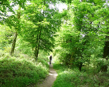 vtt_saint_germain_34