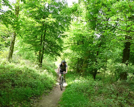 vtt_saint_germain_35