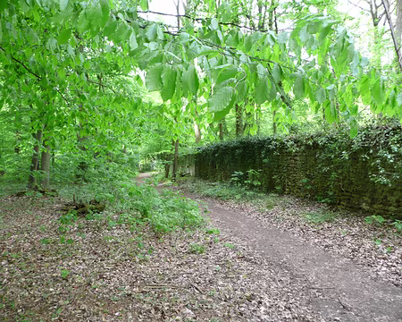 vtt_saint_germain_48