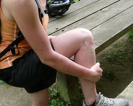 vtt_saint_germain_49