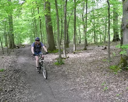 vtt_saint_germain_54