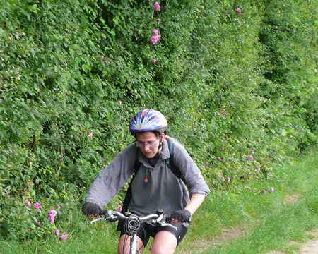 2008_06_15_VTT_ESBLY_pic07