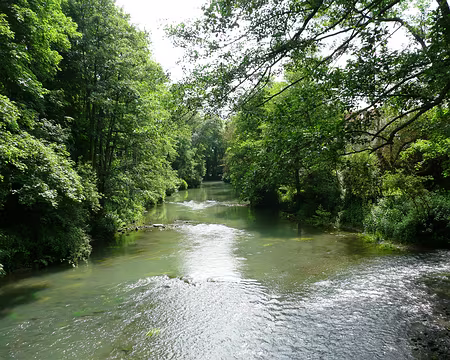 2008_06_15_VTT_ESBLY_pic21