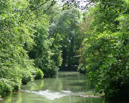 2008_06_15_VTT_ESBLY_pic22