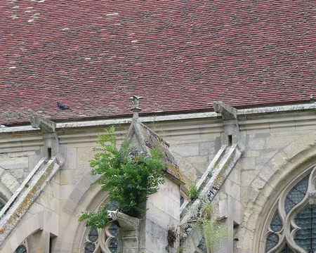 2008_06_15_VTT_ESBLY_pic34