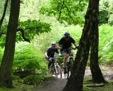 2008_07_06_VTT_MONTMORENCY_pic11