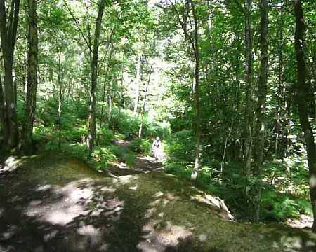 2008_07_06_VTT_MONTMORENCY_pic20