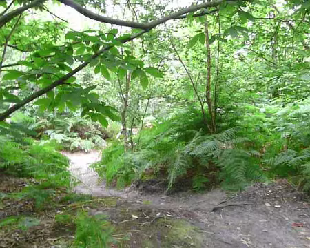 2008_07_06_VTT_MONTMORENCY_pic22