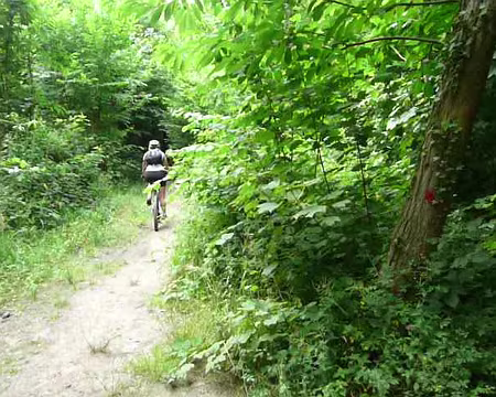 2008_07_06_VTT_MONTMORENCY_pic24