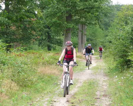 2008_08_10_VTT_SAINT_GERMAIN_pic10