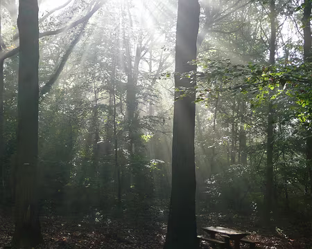 2008_10_19_VTT_FONTAINEBLEAU_pic04