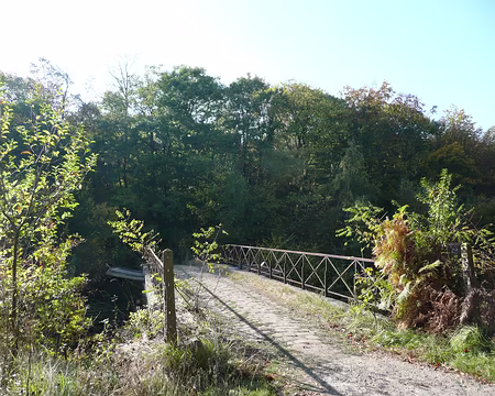 2008_10_19_VTT_FONTAINEBLEAU_pic11