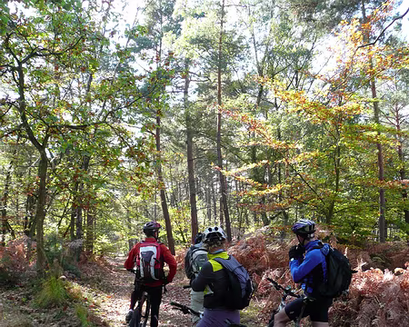 2008_10_19_VTT_FONTAINEBLEAU_pic15