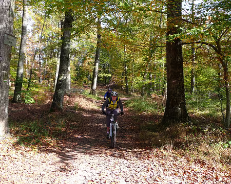 2008_10_19_VTT_FONTAINEBLEAU_pic16