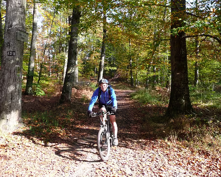 2008_10_19_VTT_FONTAINEBLEAU_pic17