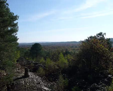 2008_10_19_VTT_FONTAINEBLEAU_pic18