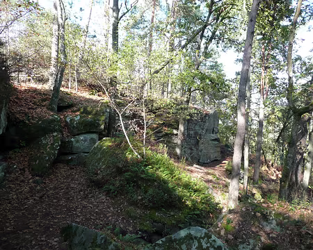 2008_10_19_VTT_FONTAINEBLEAU_pic23