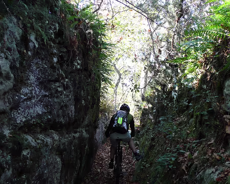 2008_10_19_VTT_FONTAINEBLEAU_pic26