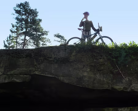 2008_10_19_VTT_FONTAINEBLEAU_pic29